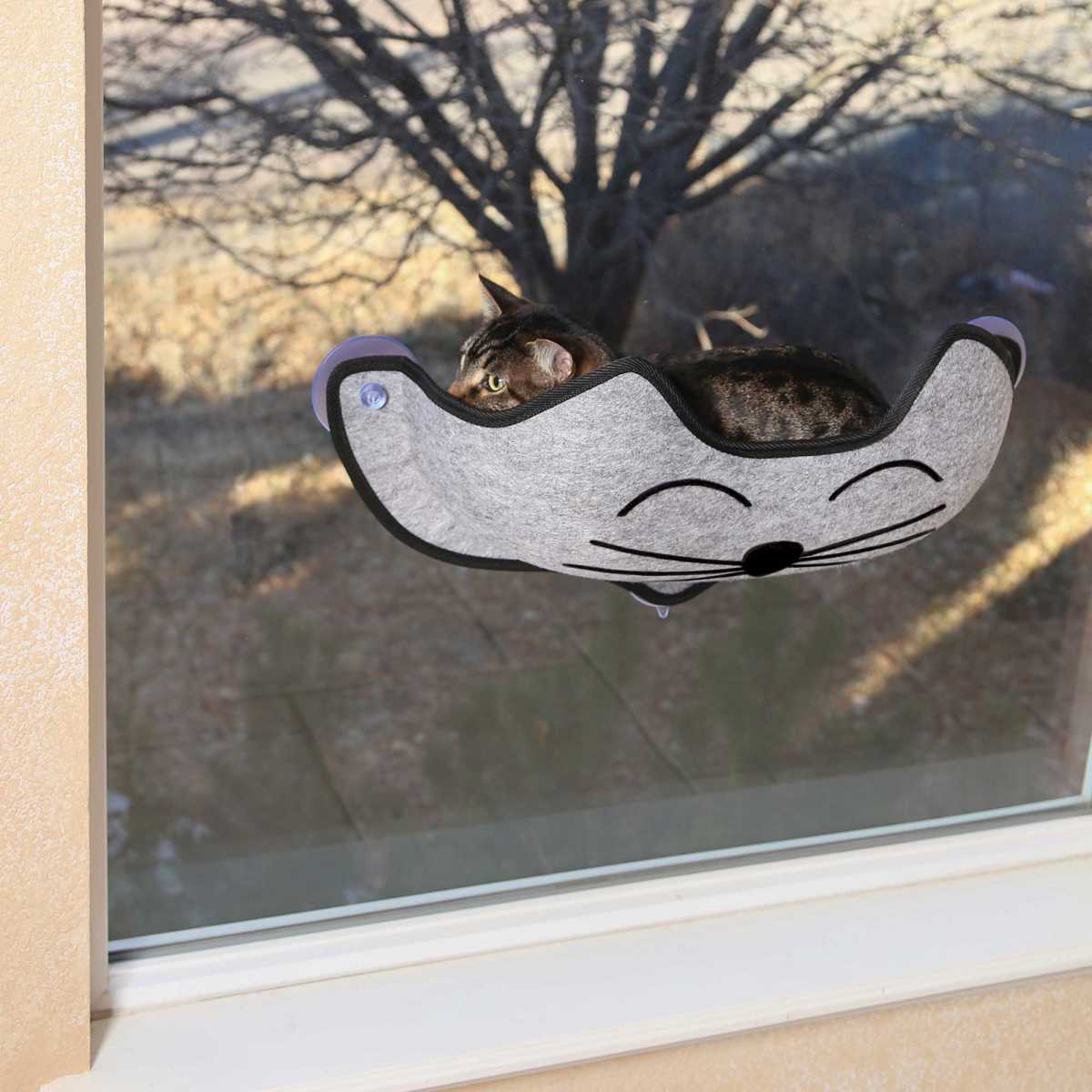 window cat toy